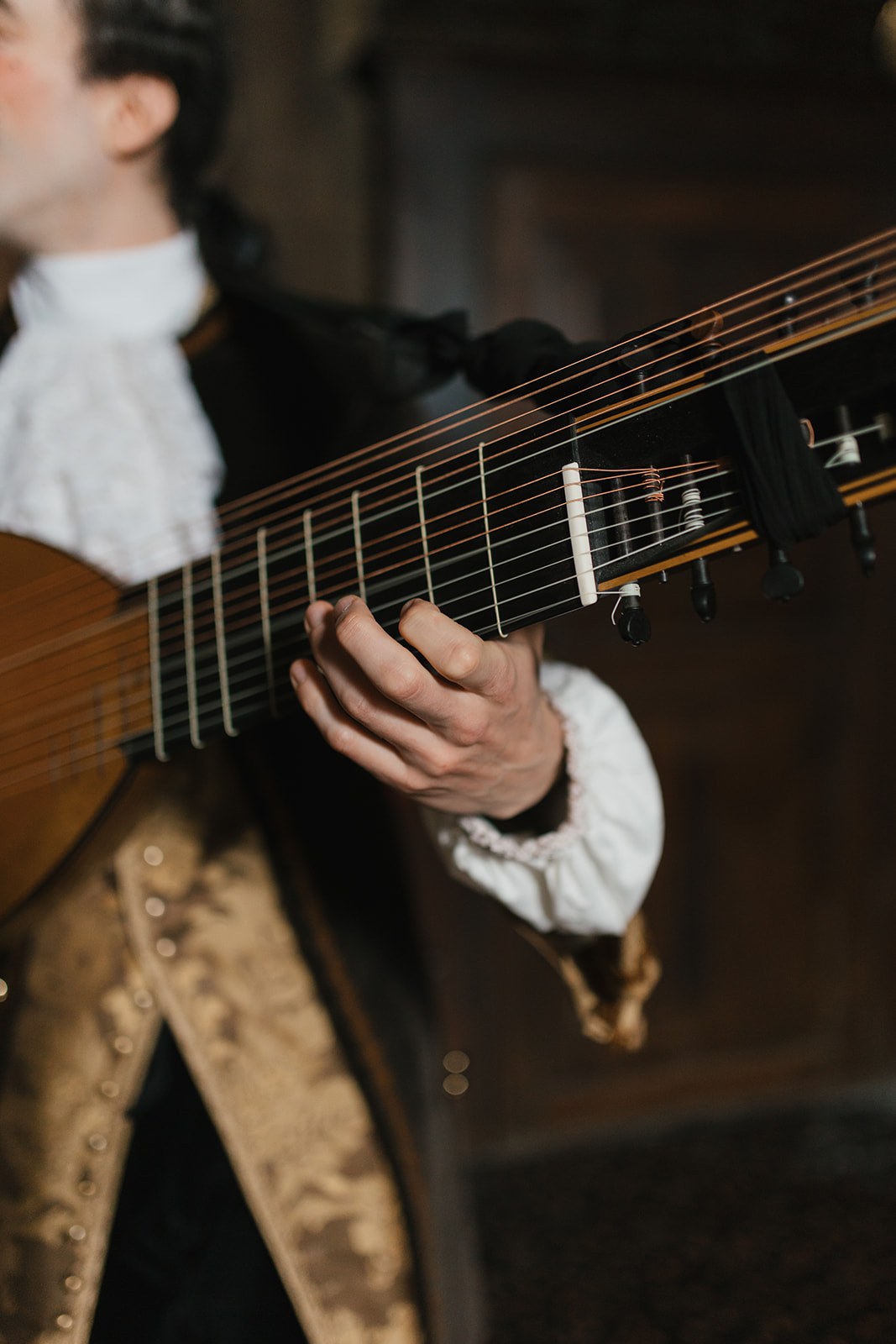 Hands on the theorbo